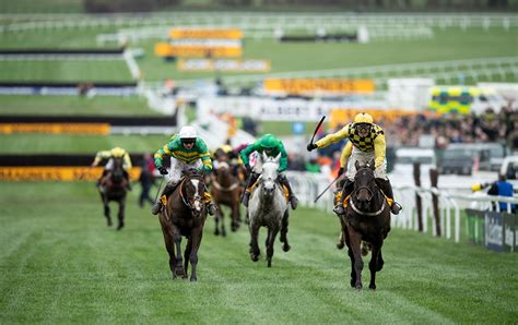 racing tips for cheltenham